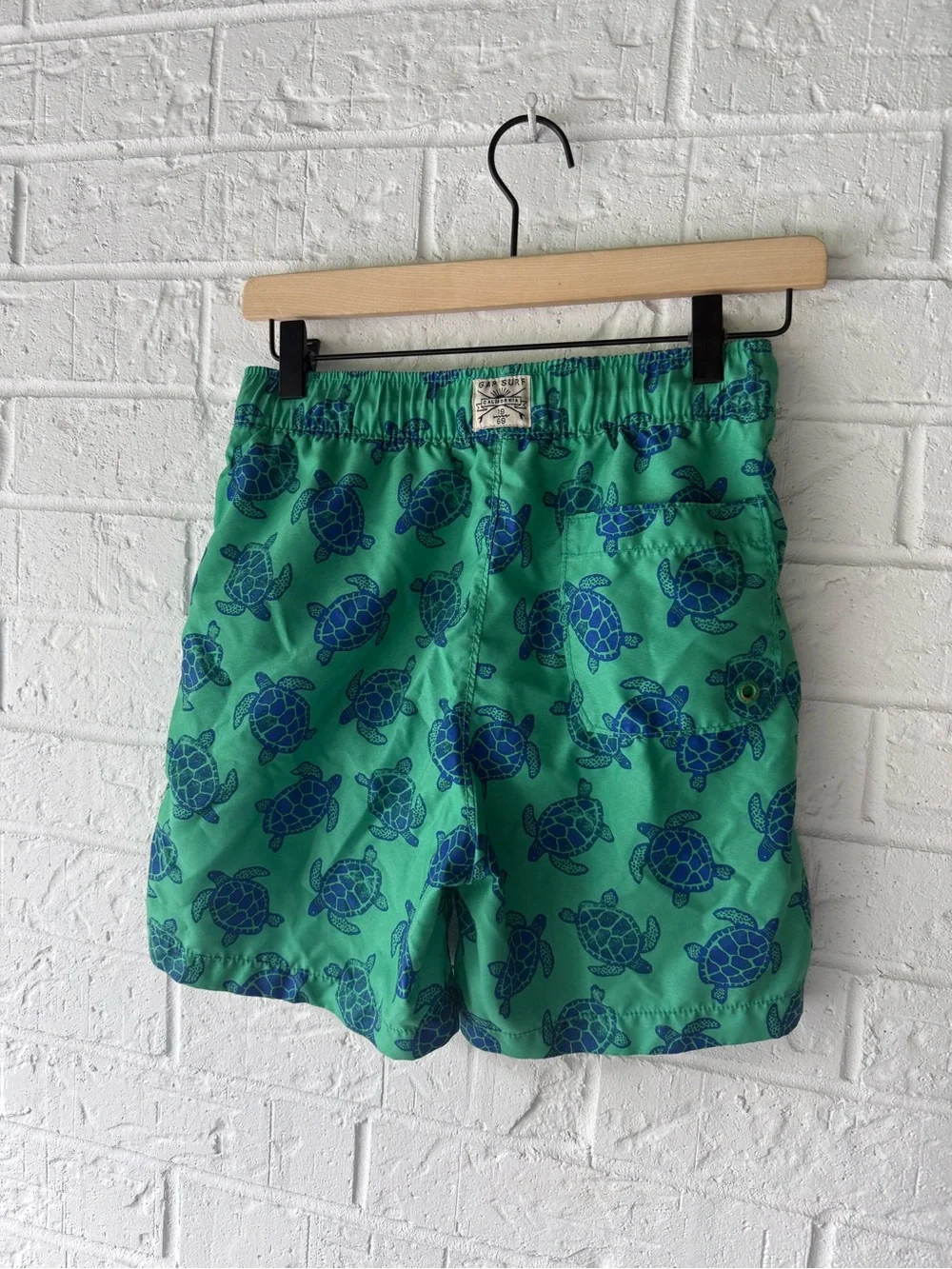 Boys Gap Green Turtle Swim Trunk SZ XL
